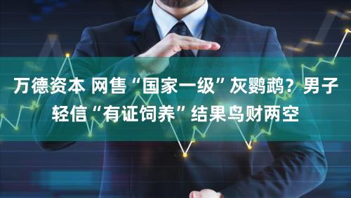 万德资本 网售“国家一级”灰鹦鹉？男子轻信“有证饲养”结果鸟财两空