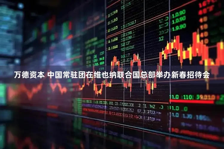 万德资本 中国常驻团在维也纳联合国总部举办新春招待会