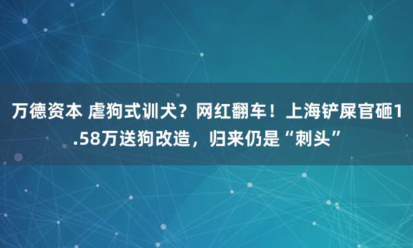 万德资本 虐狗式训犬？网红翻车！上海铲屎官砸1.58万送狗改造，归来仍是“刺头”