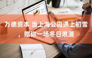 万德资本 当上海公园遇上初雪，赠你一场冬日浪漫