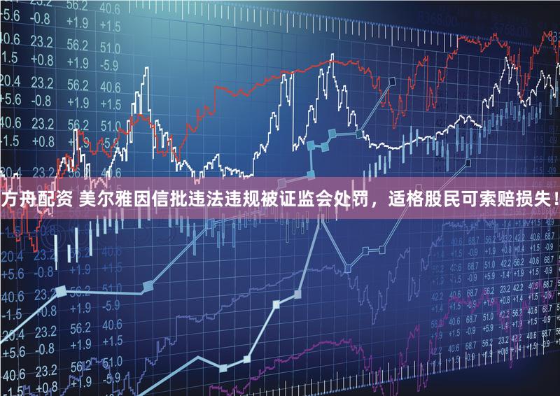 方舟配资 美尔雅因信批违法违规被证监会处罚，适格股民可索赔损失！