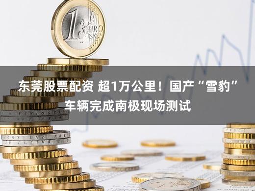东莞股票配资 超1万公里！国产“雪豹”车辆完成南极现场测试