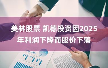 美林股票 凯德投资因2025年利润下降而股价下落