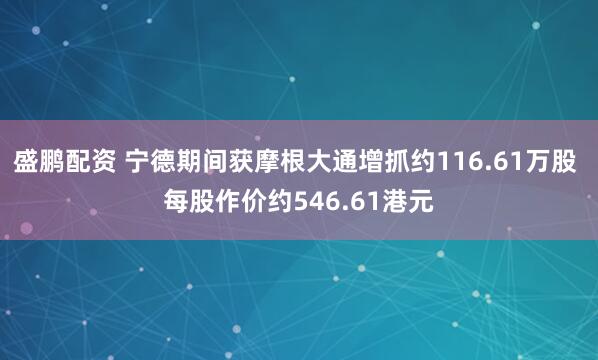 盛鹏配资 宁德期间获摩根大通增抓约116.61万股 每股作价约546.61港元