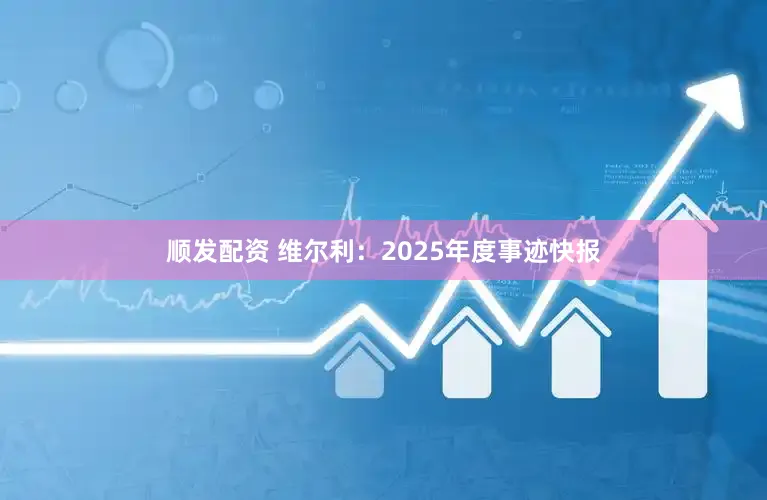 顺发配资 维尔利：2025年度事迹快报