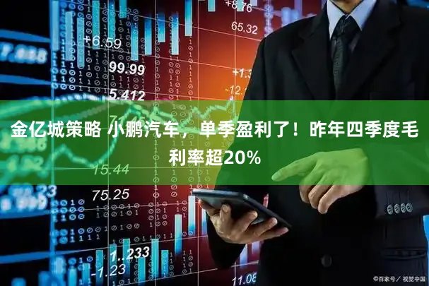 金亿城策略 小鹏汽车，单季盈利了！昨年四季度毛利率超20%