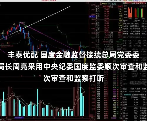 丰泰优配 国度金融监督接续总局党委委员、副局长周亮采用中央纪委国度监委顺次审查和监察打听