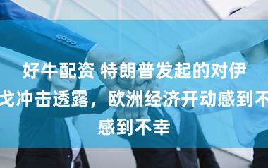 好牛配资 特朗普发起的对伊干戈冲击透露，欧洲经济开动感到不幸