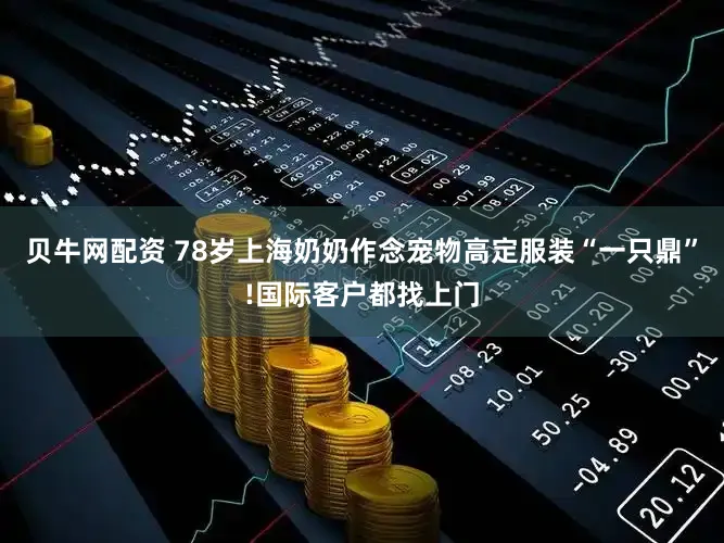 贝牛网配资 78岁上海奶奶作念宠物高定服装“一只鼎”!国际客户都找上门