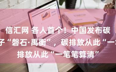 信汇网 各人首个！中国发布碳核算大模子“磐石·禹衡”，碳排放从此“一笔笔算清”