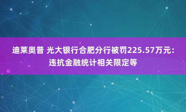 迪莱奥普 光大银行合肥分行被罚225.57万元:违抗金融统计相关限定等