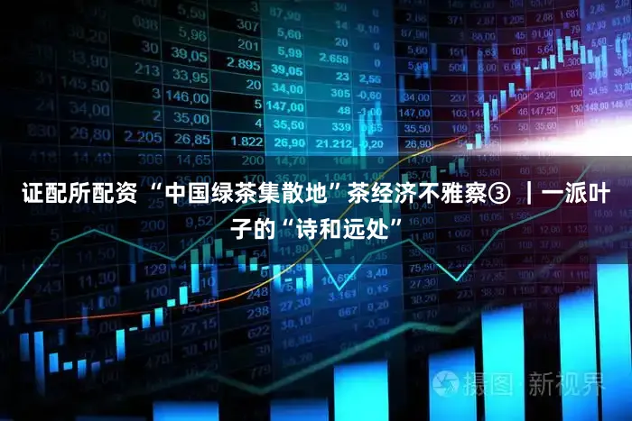 证配所配资 “中国绿茶集散地”茶经济不雅察③ ｜一派叶子的“诗和远处”
