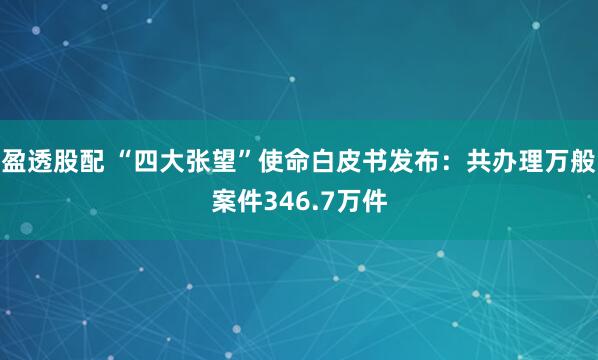 盈透股配 “四大张望”使命白皮书发布：共办理万般案件346.7万件