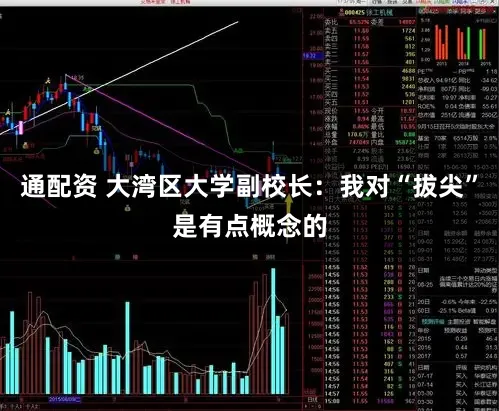 通配资 大湾区大学副校长:我对“拔尖”是有点概念的