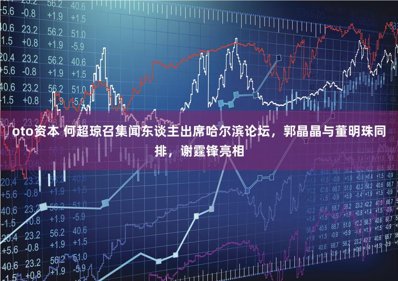 oto资本 何超琼召集闻东谈主出席哈尔滨论坛，郭晶晶与董明珠同排，谢霆锋亮相