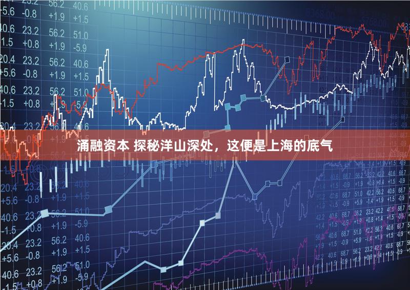 涌融资本 探秘洋山深处，这便是上海的底气