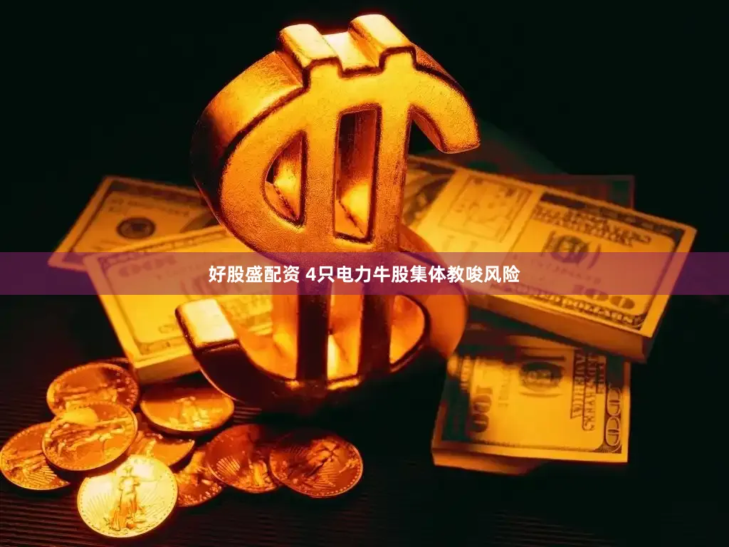 好股盛配资 4只电力牛股集体教唆风险